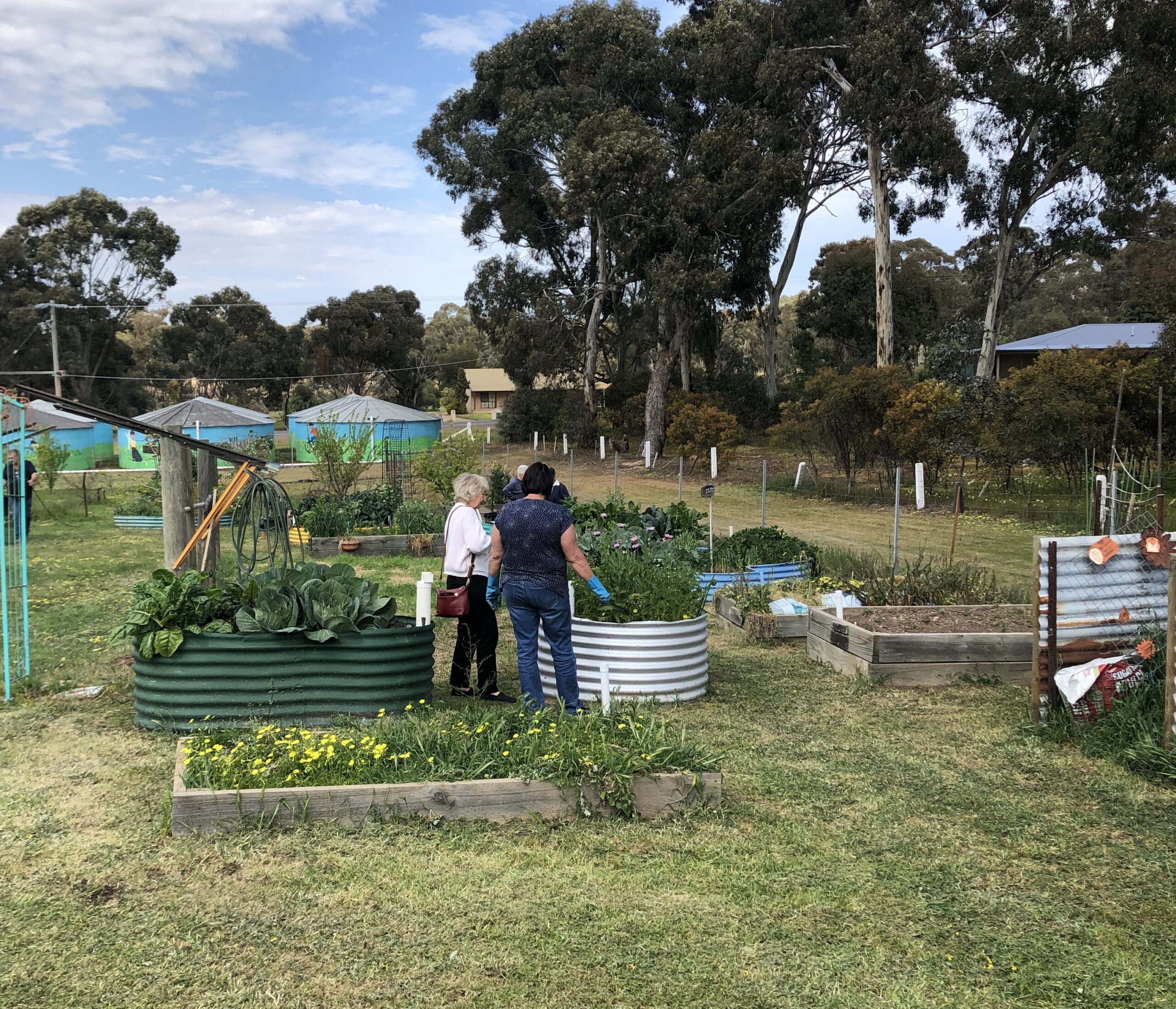 St Arnaud Community Garden to Grow thanks to the are-able Foundation