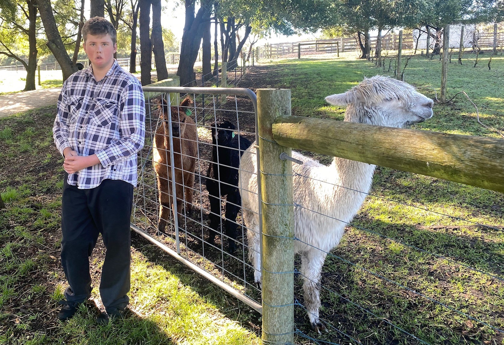 Shaping Success for Seamus with the are-able SLES Program in Colac